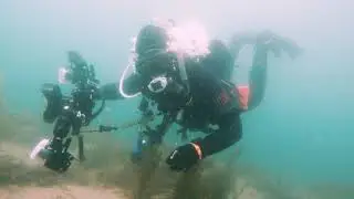 Shiprock Marine Reserve -Scuba Diving NSW Australia