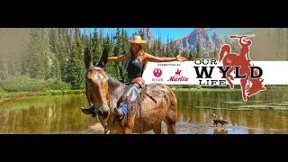 Our Wyld Life - Season 2 Intro