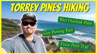 Hiking Torrey Pines State Reserve | San Diego