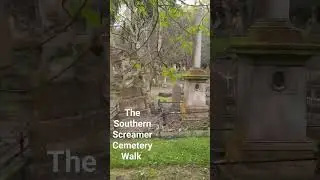 Window to the Soul #cemeterylovers #ghost #history #shorts #dunedinnz #hairraisertours