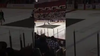 Louisiana icegators