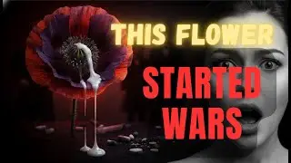 The Dark Truth About Opium: How ONE Plant Destroyed Empires and Created Modern Addiction | Sleepy