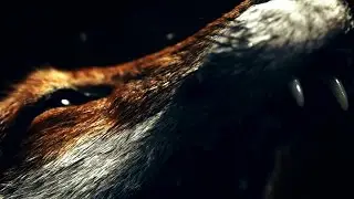 THE UNIVERSE BY EAR - SEVEN POUNDS