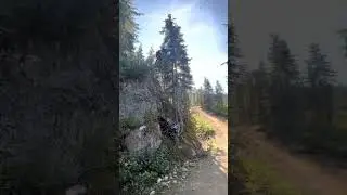 Sidetrack Drop - Whistler Bike Park - Max Grayston