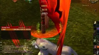 WoW 4.2 Feral Druid DPS 22k spike 16k average