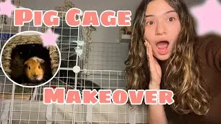 Guinea Pig Cage Makeover | Building A New Guinea Pig Cage