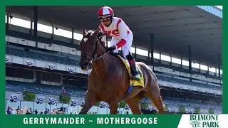 Gerrymander - 2022 - The Mother Goose