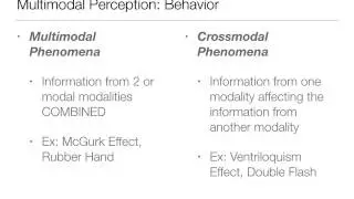 Multimodal Lecture 3:   Behavior