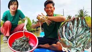 Đi đổ lú dưới sông dính nhiều tôm cua 🦀 cá thấy ham quá cuộc sống mưu sinh “ Hoàng Lê Vlog “