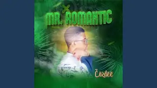 Mr. Romantic