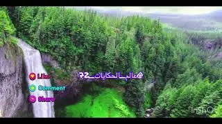 الضرير والفانوس / حكايات عالميه - 