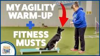 Mini Q&A With Susan  Body Awareness Exercises And My Warm Up For Dog Agility