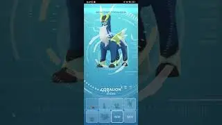 shiny cobalion