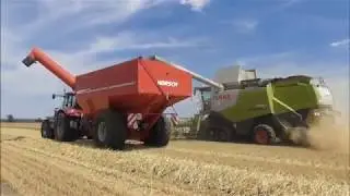 Gerste dreschen Claas Lexion 760 580 TT Claas Arion Claas Axion 2018