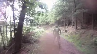 The Motorway Quantocks mtb trail