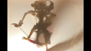 Shadow Puppets from Around the World