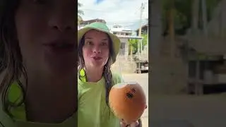 Noce di cocco