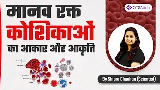 Human Blood | RBC | WBC | Cell size | Shape |  #otsadda