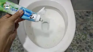 Crazy Toilet Cleaning Trick with Toothpaste! Must See for Stunning Results!