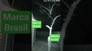 marca brasil