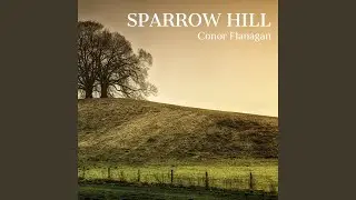 Sparrow Hill