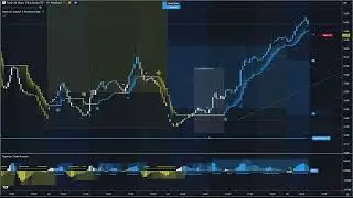 Papercuts S&R Algo TSLQ Timelapse
