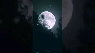 Moon love🌙||whatsappstatus❣ ||Sk Cuts