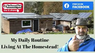 My Daily Routine Living At The Homestead