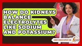 How Do Kidneys Balance Electrolytes Like Sodium And Potassium? - Kidney Cancer Support Hub
