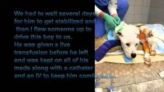 Donate Car MD - Car Donation Maryland