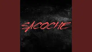 Sacoche