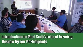 A Review of Our Course on the Introduction of Mud Crab Vertical Farming