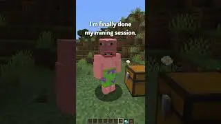 Types of Glitches in Minecraft