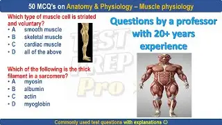 50 Muscle physiology practice questions by professor | muscle physiology MCQs | #musclephysiology