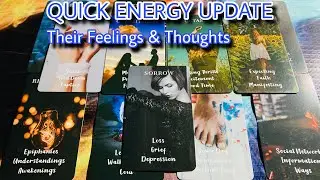 Quick Energy Update 💙💙 Their Feelings & Thoughts 💙💙 Timeless Tarot 💙💙 Hindi-Urdu 💙💙