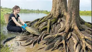 Harvesting Giant Swamp Catfish, Grilling Whole Over a Wood Fire | Primitive Rustic Cooking
