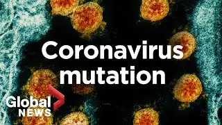 Coronavirus: The pandemic virus is mutating, but there&rsquo;s no need to panic