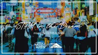 【Tokyo Night Chill Japanese Hiphop MIX】 STAY in the Dream -  DJ BREADMAN 【日本語ラップ Classic】