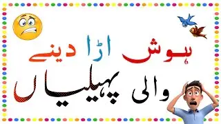 Urdu Paheliyan Jawab K Sath | New Paheliyan | Common Sense Questions | Hindi Riddles | urdu Riddles