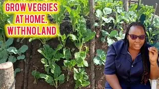 How To Make A Tower Garden and Grow Vegetables at low Cost? 