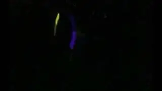 1 1/2 month glowstring progress