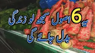 Yeh 6 Chotay Usool… Ek Insaan Ki Puri Zindagi Badal Saktay Hain