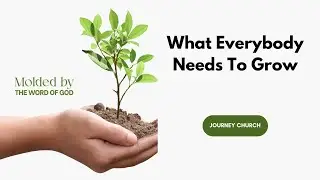 What a Christian Needs To Grow