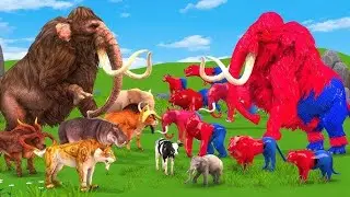 Paint Animals Tiger, Lion, Dinosaur, V/S  Elephant, Gorilla, Wolf, Mammoth Tiger 