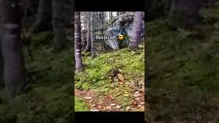 NADIE CRE&Iacute;A QUE LA TIERRA RESPIRA 👃🏻🌏🤯 HASTA VER ESTE V&Iacute;DEO 😰