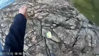 Ribolov &scaron;tapom sa obale-Lampuga 970gr.
