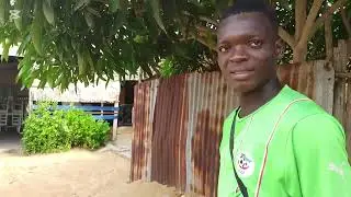 Le voleur de mangue 🤣