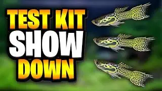 Aquarium Test Kit Showdown – API Vs NT Labs!