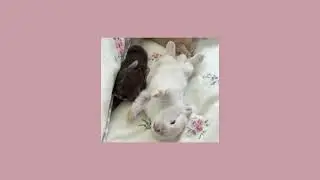 Girl of my dreams - Guti  [ sped up ]
