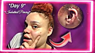 Day 9 of my industrial piercing (UPDATE) | Kayy Lovee